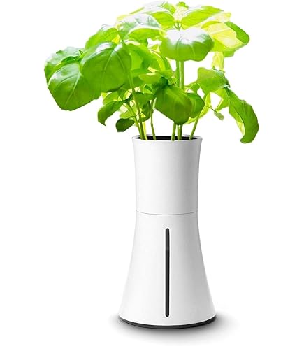 Amazon｜BOTANIUM(ボタニアム) 水耕栽培キット ローレルグリーン｜栽培